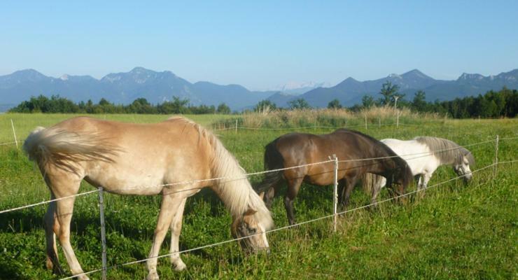 Gaestehaus Annemarie Rimsting Bagian luar foto