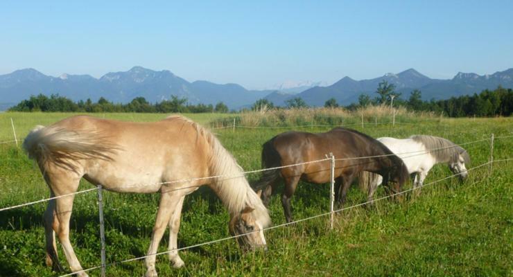 Gaestehaus Annemarie Villa Rimsting Bagian luar foto